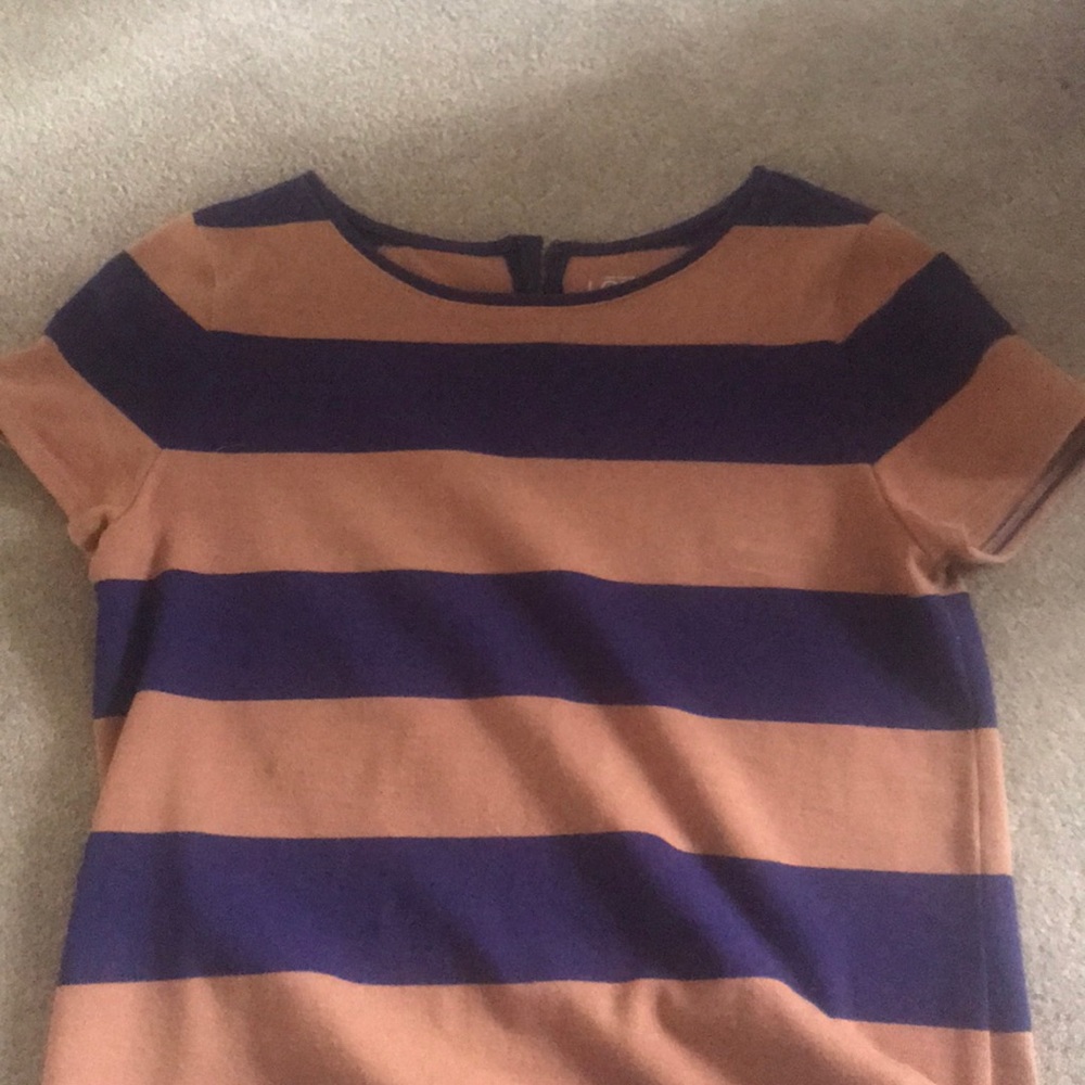 Ann Taylor Loft Petites Striped Shirt